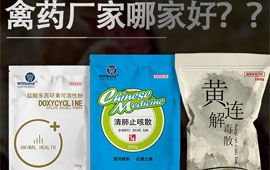 禽药厂家哪家好？这样选就对了【百乐门娱乐官网首页兽药】