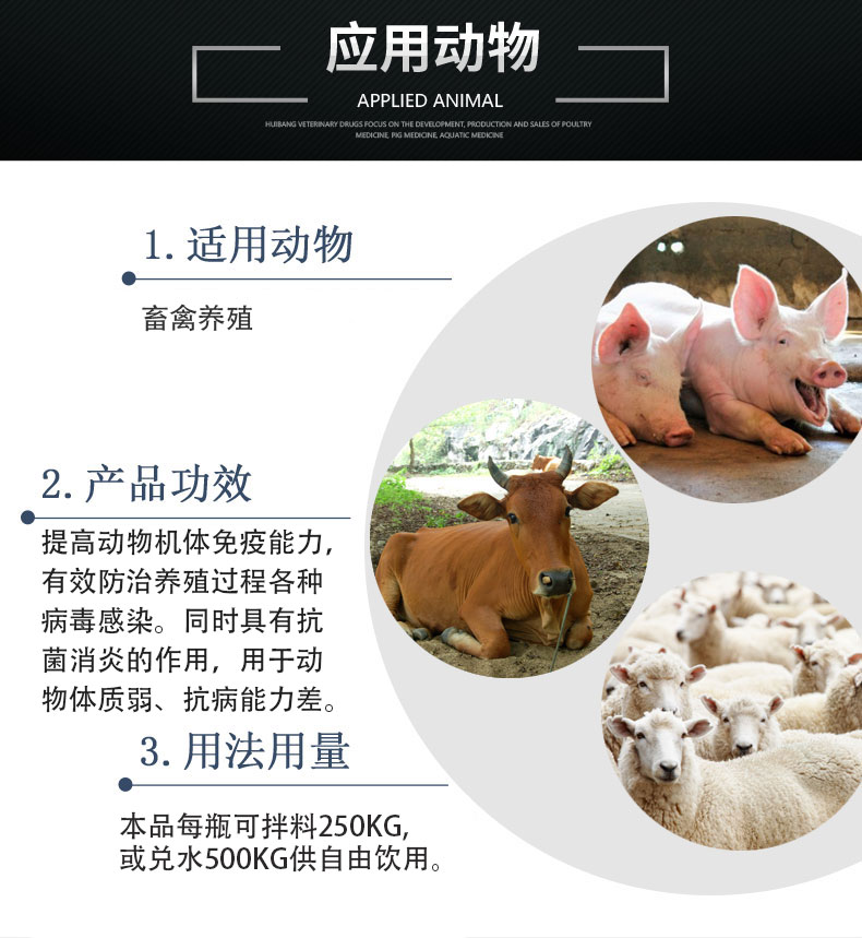 欣抗应用动物状猪牛羊.jpg