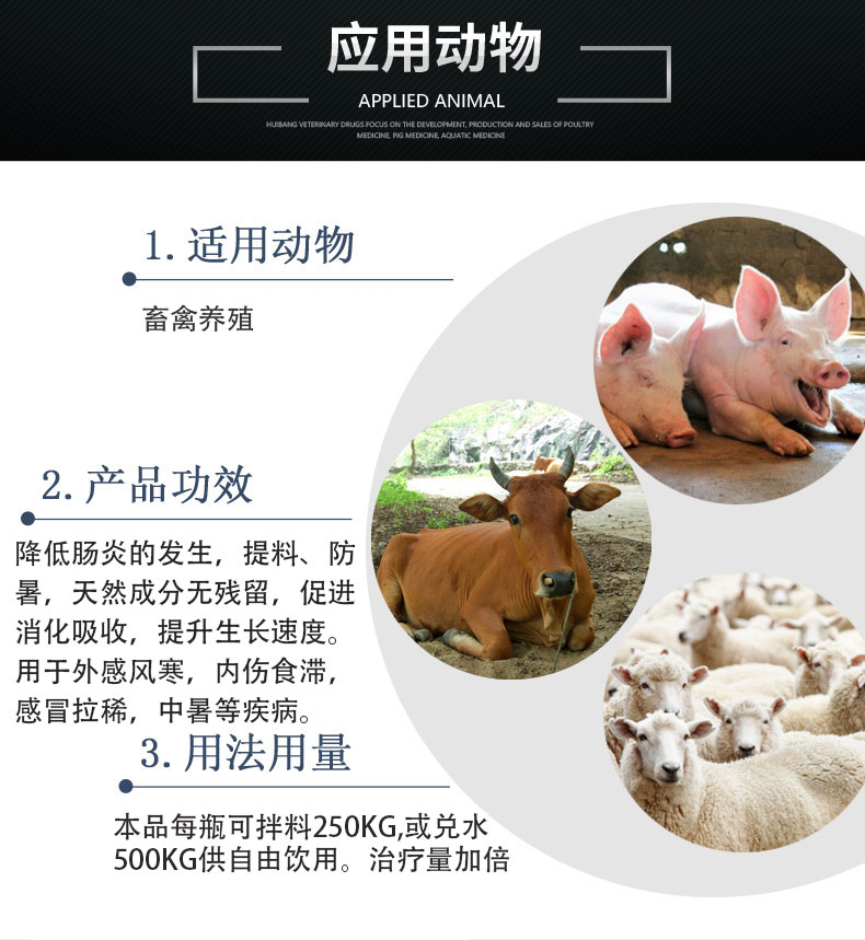 肠康应用动物状猪牛羊.jpg